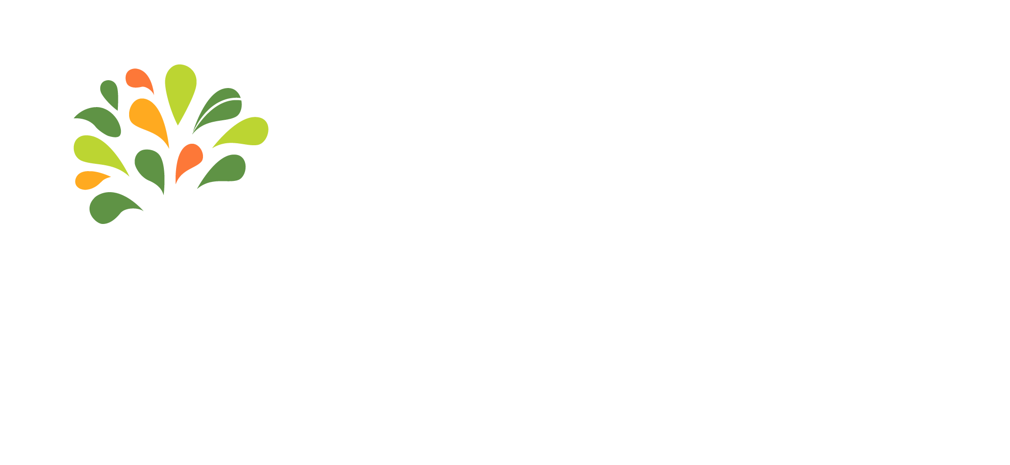 SIG Spatial Informatics Group logo