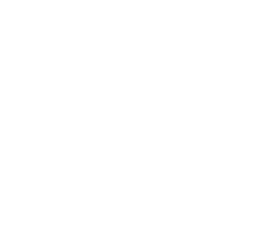 REGIONAL LAND COVER MONITORING SYSTEM - RLCMS