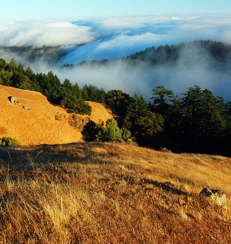 The Marin Resource Conservation District