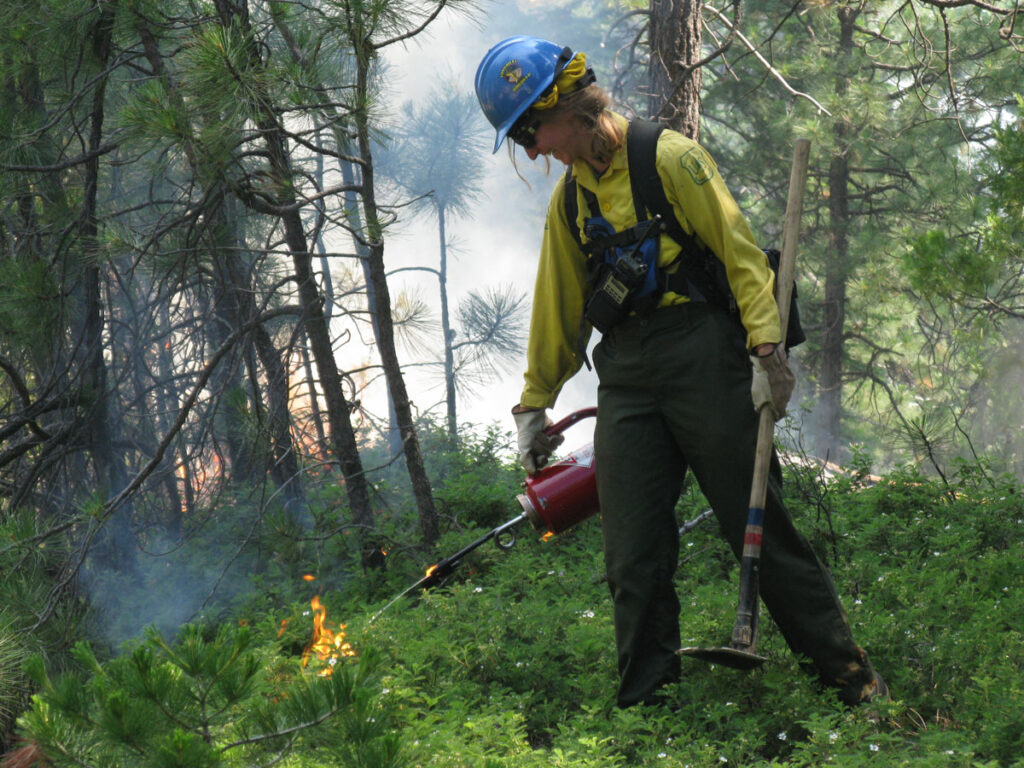 Wildfire Research