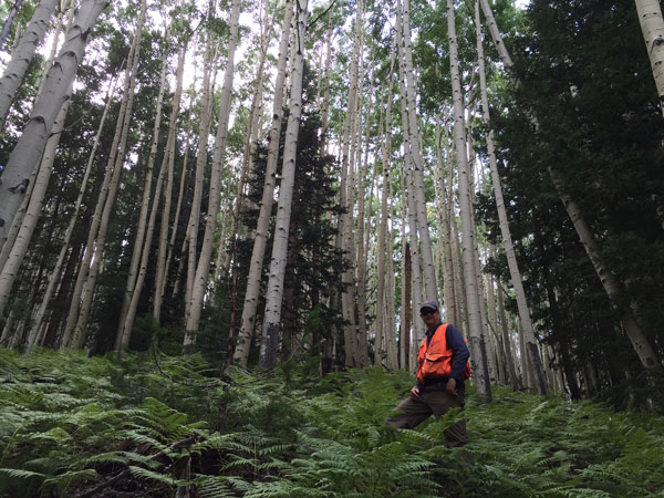 Farming and Forest Inventory and Biometrics